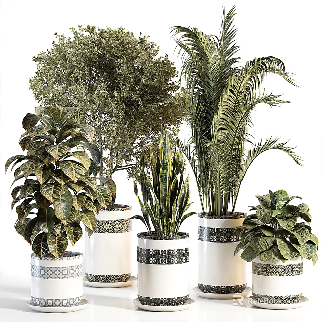 Bonsai Potted Plants With Various Green Foliage And Palm Leaves In Decorative White Pots 3d model 