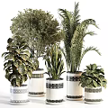 Bonsai Potted Plants With Various Green Foliage And Palm Leaves In Decorative White Pots