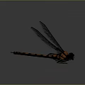 Modern Dragonfly Thin-winged Dragonfly Le Fairy Dragonfly Purple Red Dragonfly 3d model