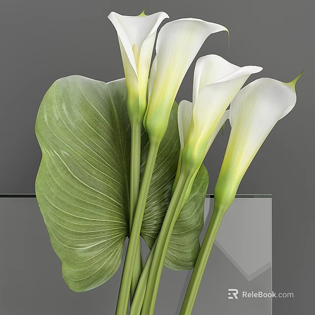 Decorative Ornament Set With White Calla Lilies Large Green Leaves And Transparent Vase 3d model 