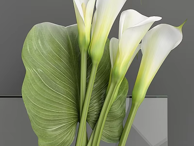 Decorative Ornament Set With White Calla Lilies Large Green Leaves And Transparent Vase 3d model