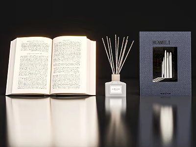 Elegant Decorative Ornament Set With Open Book Fragrance Diffuser Reeds And Box 3d model