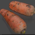 Fresh Organic Carrots With Green Tops And Natural Skin Texture