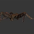 Brown Stick Insect With Elongated Body And Long Legs On Dark Background