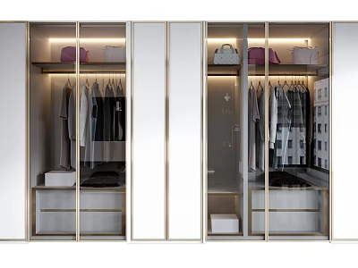Modern Wardrobe With Glass Doors Gold Trim Hanging Rails And Storage Drawers 3d model
