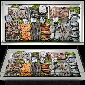 Modern Freezer Seafood Freezer 3d model