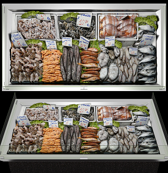 Modern Freezer Seafood Freezer 3d model