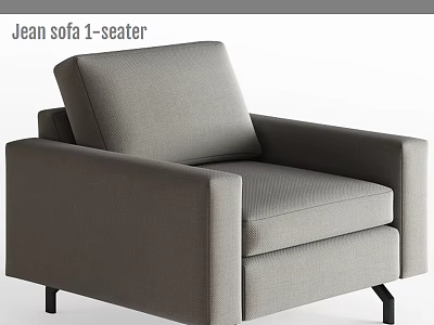 Modern Gray Fabric 1 Seater Jean Sofa Leisure Chair With Armrests And Black Legs 3d model