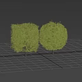 Lush Green Bushes With Dense Foliage And Different Heights For Garden Landscaping