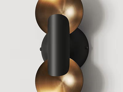 Modern Black and Gold Metal Wall Lamp With Double Sphere Cylindrical Design 3d model