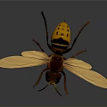 Detailed Yellow and Brown Wasp with Transparent Yellow Wings on Gray Background