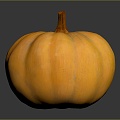 Pumpkin Pumpkin Cartoon Pumpkin Anime Pumpkin Style Pumpkin Fantasy Style Pumpkin Vegetable 3d model