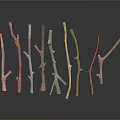 Wooden And Stone Decorative Branches In Various Colors Natural Shapes With Reflections On Black Background