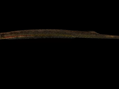 Close Up View Of Slender Brown Fish With Small Spots On Black Background 3d model