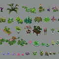 Diverse Collection of Decorative Potted Plants with Various Leaf Shapes and Flowers