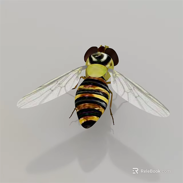 Macro View Of Hoverfly With Yellow And Black Striped Body And Transparent Wings 3d model 