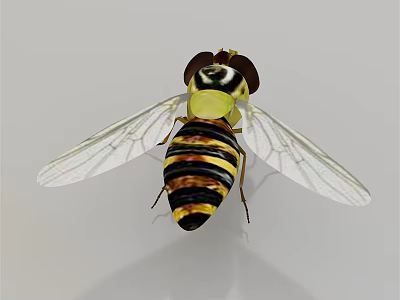 Macro View Of Hoverfly With Yellow And Black Striped Body And Transparent Wings 3d model
