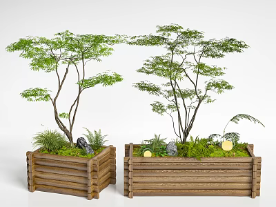 Bonsai Potted Plants In Wooden Planters With Green Leaves Decorative Stones And Ferns 3d model