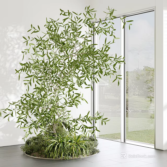 Bonsai Potted Plant With Lush Green Leaves In Indoor Window Space With Natural Light 3d model 