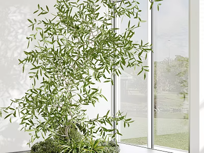 Bonsai Potted Plant With Lush Green Leaves In Indoor Window Space With Natural Light 3d model