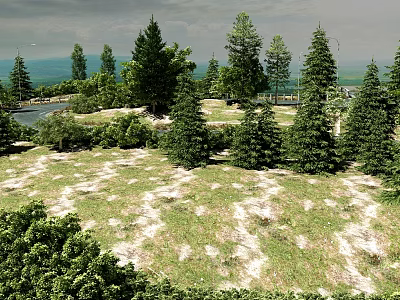 Garden Landscape Design With Various Green Trees Lush Grass And Distant Water View 3d model