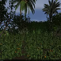 Lush Garden Landscape With Dense Green Plants Diverse Trees And Natural Foliage