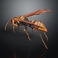 Modern Wasp Bumblebee 3d model