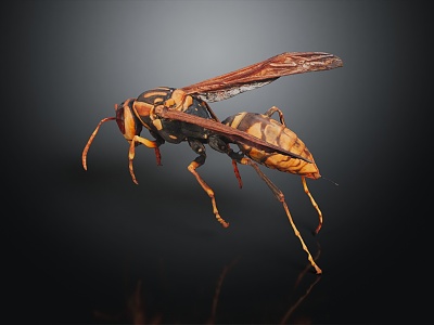 Modern Wasp Bumblebee 3d model