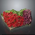Fresh Red and Purple Radishes With Green Leaves In Wooden Tray