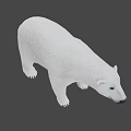 Realistic Polar Bear 3D Model With White Fur And Detailed Claws