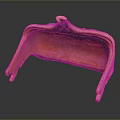 Terracotta Sculpture Featuring Curved Structure Glossy Textured Surface And Supporting Feet On Dark Background