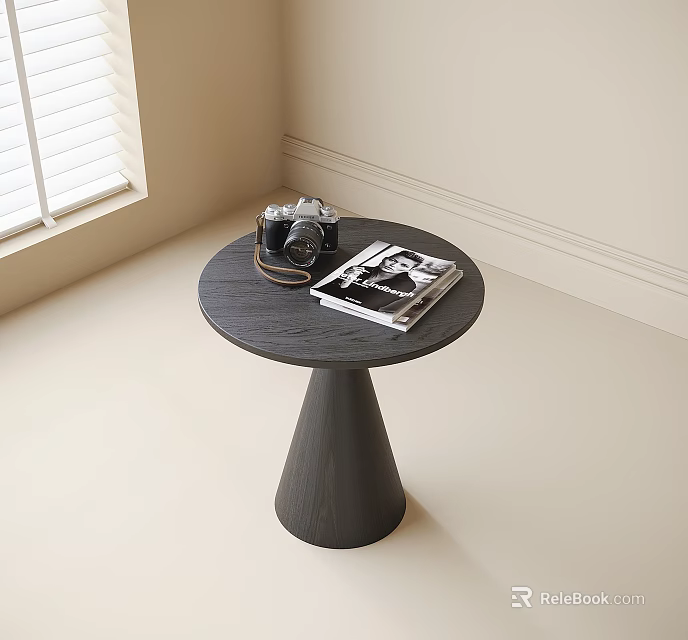 Black Round Side Table with Tapered Base Camera and Magazine Near Window 3d model