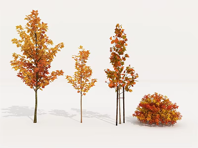 Autumn Arbor Trees With Colorful Orange Red Leaves And Various Heights 3d model