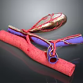 Medical Device Vascular Simulation Model With Red And Purple Tubular Structures 3d model