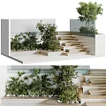 Modern Garden Landscape Featuring Layered Stone Steps Elevated Platforms Lush Green Plants and White Walls