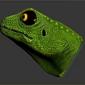 Lizard Anime Lizard Cartoon Lizard Reptile Cold Blooded Animal Reptile 3d model