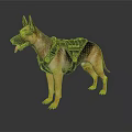 German Shepherd Standing in White Background With Green Tactical Vest and Tongue Out