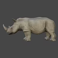 Highly Detailed 3D Rhinoceros Model With Realistic Texture And Gray Background