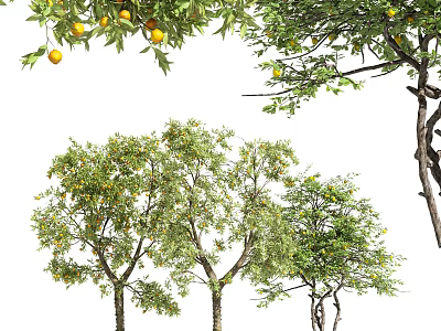 Modern Tree Landscape Tree 3d model