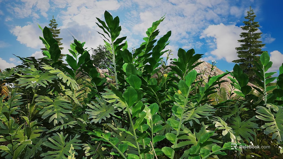 Lush Green Shrub With Dense Foliage In Natural Garden Setting Under Blue Sky 3d model 