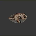 Light Brown Dog Lying Relaxed on Shiny Silver Disc Against Dark Background