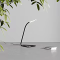 Modern Black Curved Desk Lamp With White Light And Green Plant Leaves On Gray Table