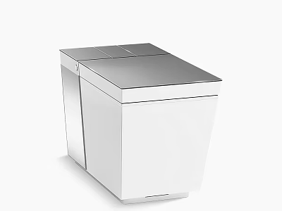 Modern White Toilet With Sleek Silver Lid And Contemporary Minimalist Design 3d model