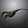 Brown Duck Spreading Wings in Flying Pose with Detailed Feathers Against Dark Background