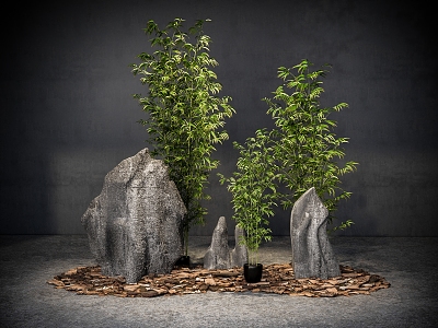 Micro-landscape plant combination plant pile stone mountain stone bamboo plant landscaping model