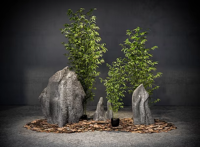 Micro-landscape plant combination plant pile stone mountain stone bamboo plant landscaping 3d model