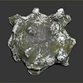 Wooden Stone Decorative Piece With Natural Texture And Green White Irregular Design