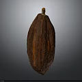 Fresh Reddish Brown Raw Cocoa Pod Natural Tropical Food Ingredient With Smooth Texture