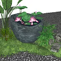 Garden Ornament With Stone Basin Pink Lotus Flowers Lotus Leaves Green Plants Stones And Grass