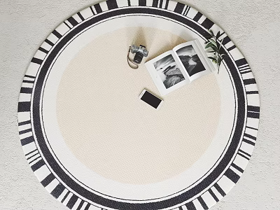 Modern Round Area Rug With Decor Items And Plant 3d model